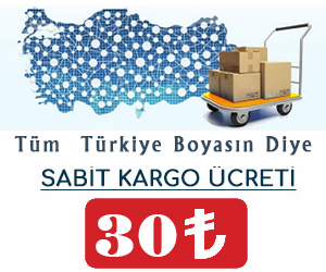 sabit kargo